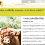 Imagekampagne – für die schottischen Hochlandrinder aus der Rhön!