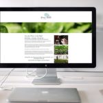 GenussKörble – leckeres BIO-Gemüse aus der Rhön, in die Töpf!