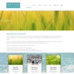Neue Website für Spirit Plus e.V. in frischen Farben